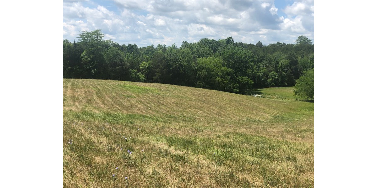 7.5 ACRES UNRESTRICTED LAND IN WHITESBURG, TN FOR SALE