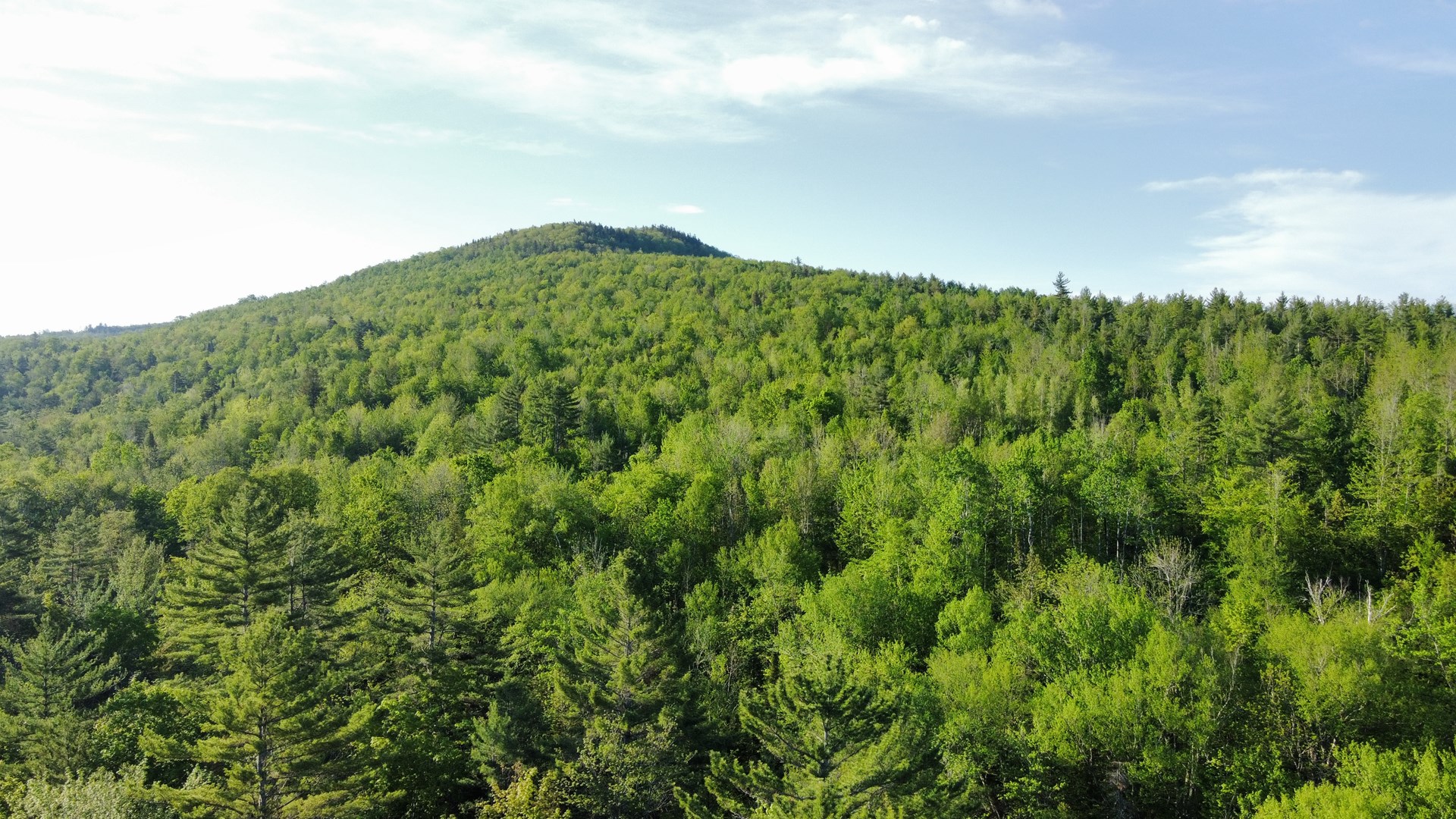 LAND FOR SALE IN CARTHAGE, MAINE