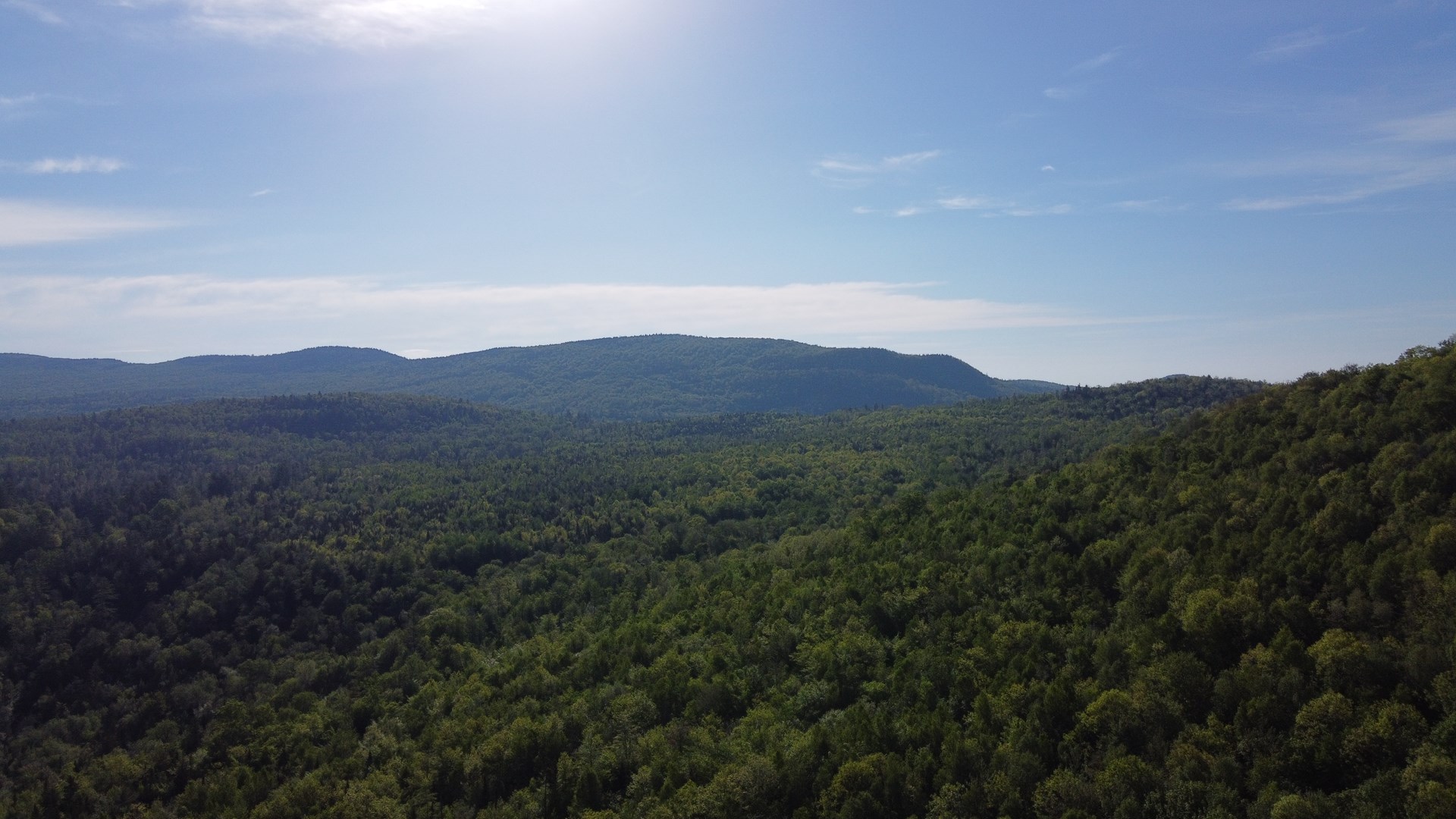 LAND FOR SALE IN CARTHAGE, MAINE