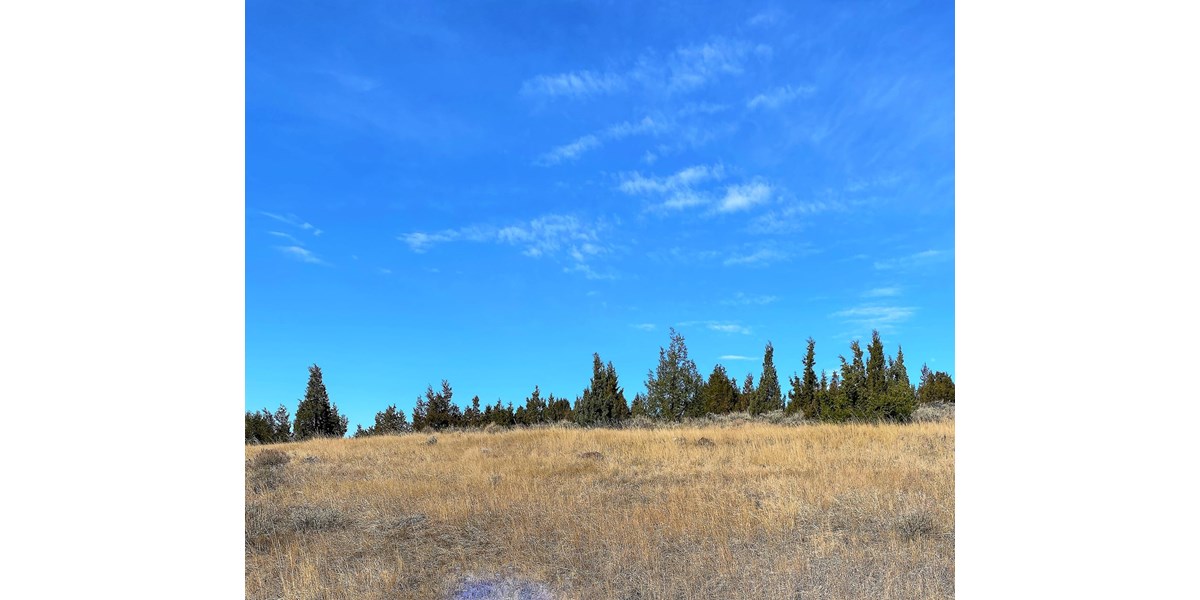 Land For Sale In Virginia City, MT
