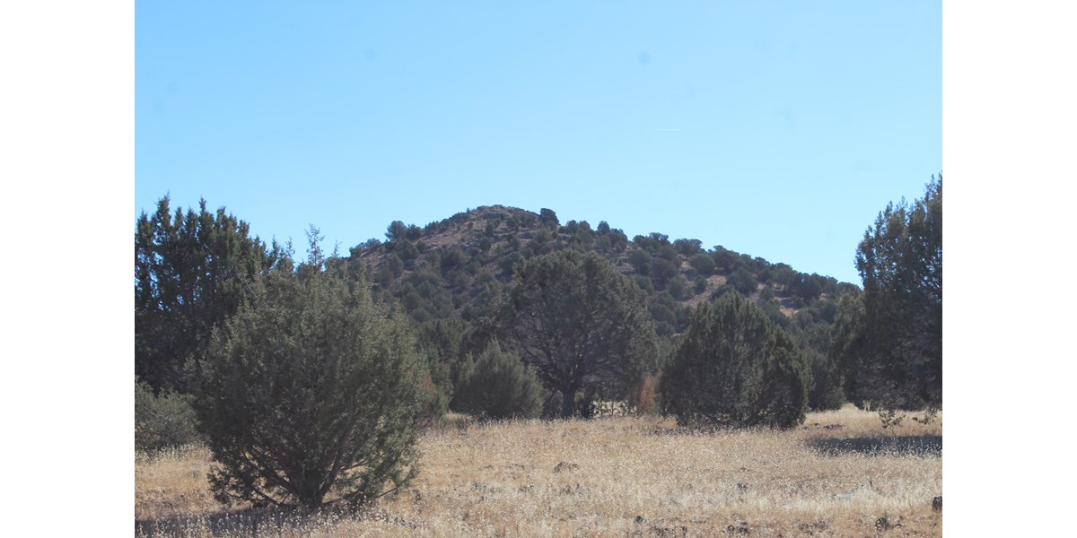 40+ Acres of Mountain Land for Sale in Westwood Ranches