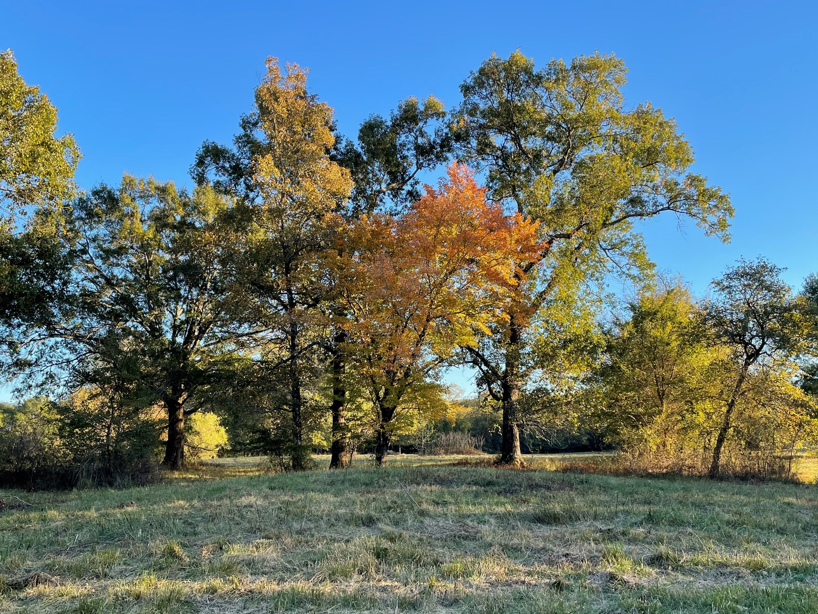 Southeast Oklahoma Ranch For Sale
