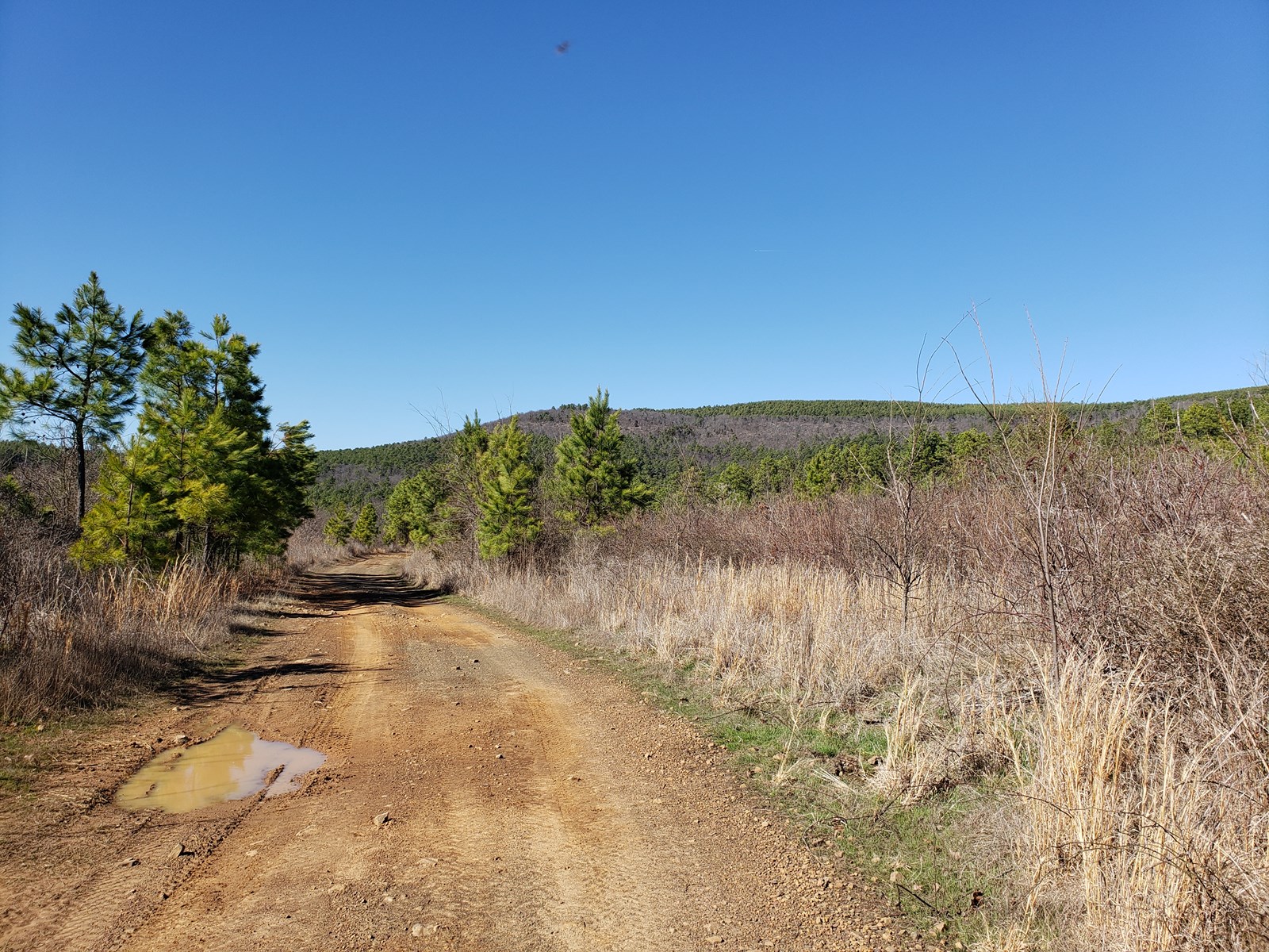 47 Acre Poteau Mountain Recreational Property