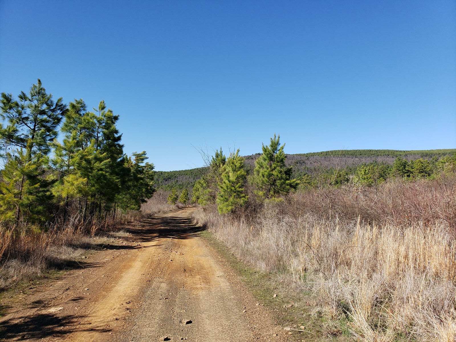 47 Acre Poteau Mountain Recreational Property
