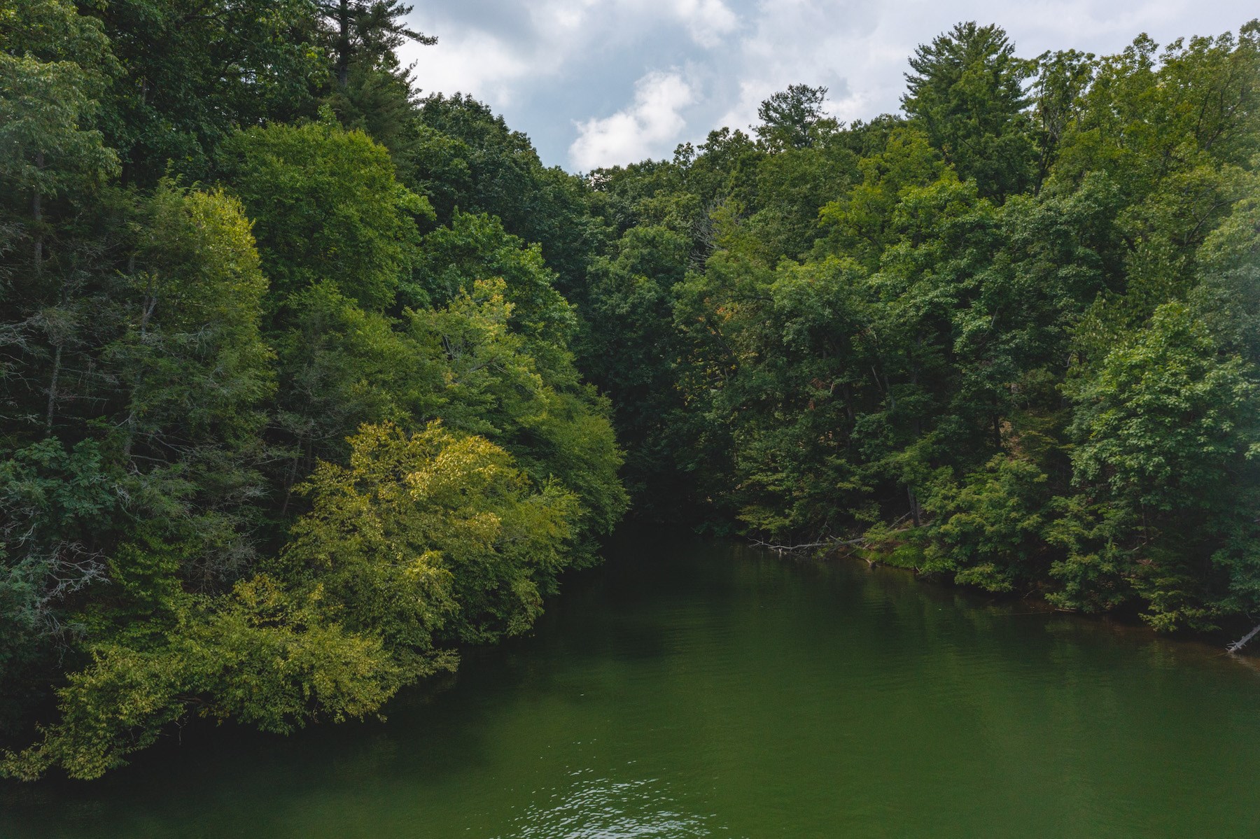 Land For Sale with Frontage on Claytor Lake!