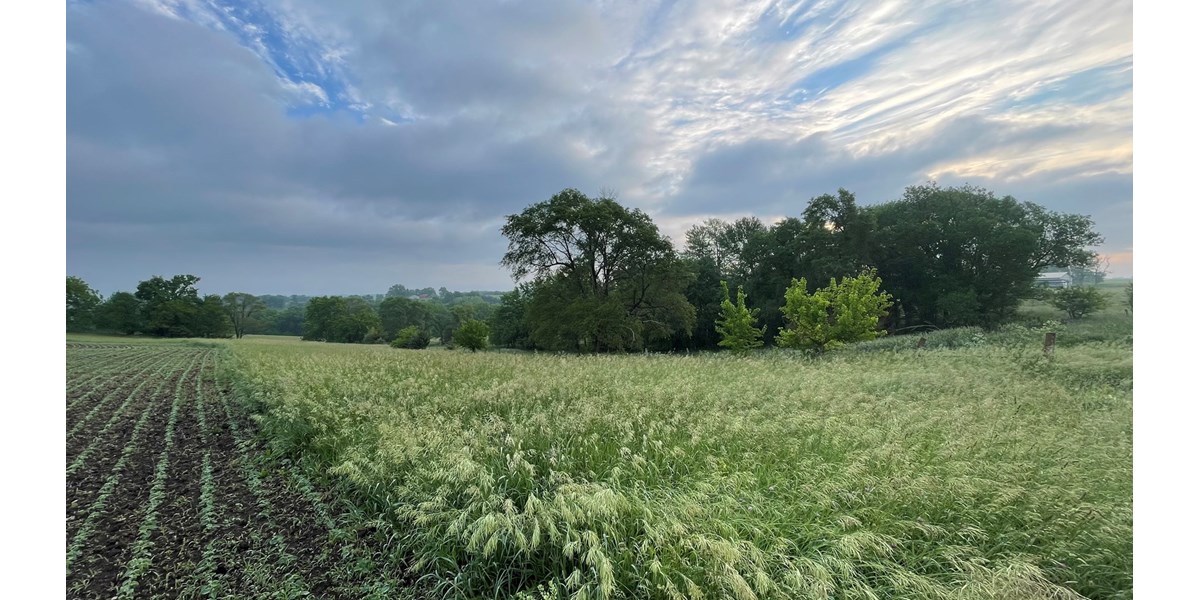 NORTHWEST MISSOURI HUNTING LAND FOR SALE