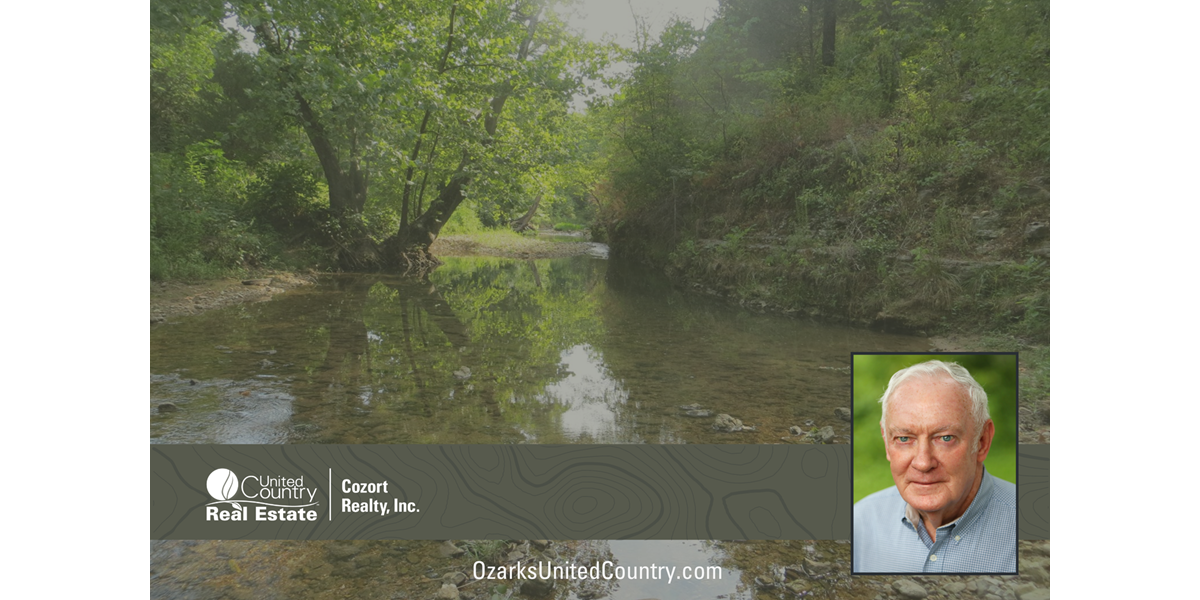 ACREAGE WITH CREEK FRONTAGE FOR SALE NEAR MAMMOTH SPRING, AR
