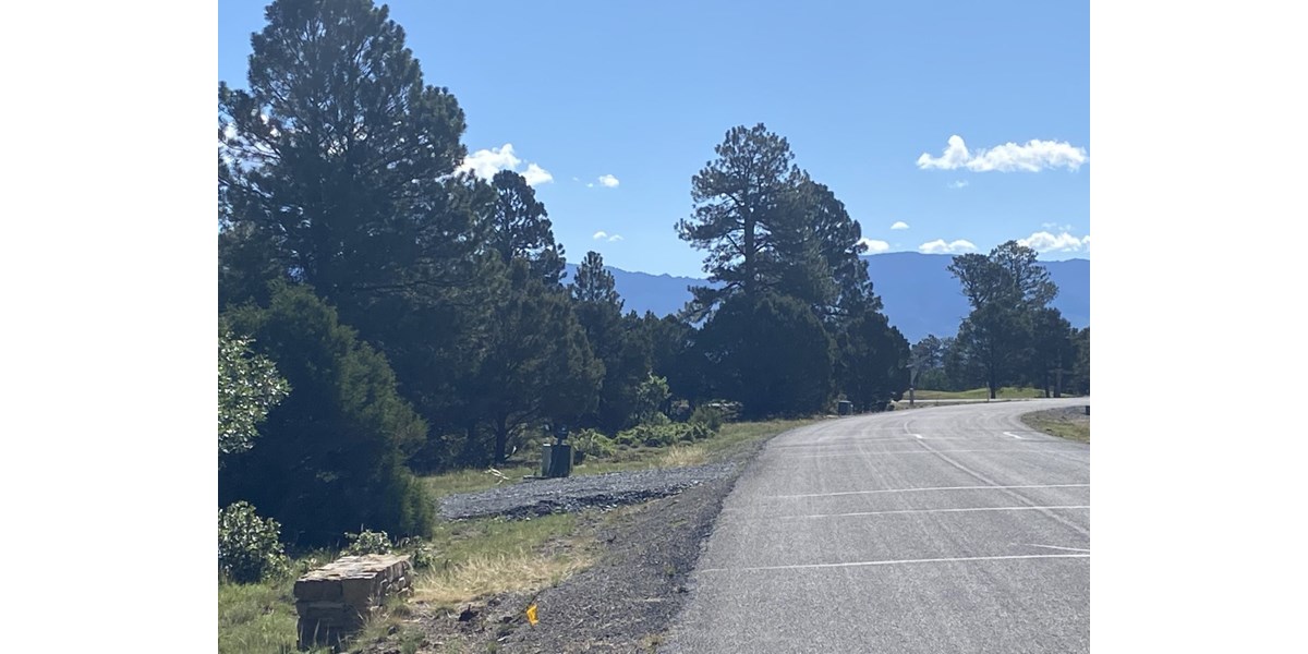 LOT FOR SALE, EASY ACCESS TOWN, LOG HILL, RIDGWAY, COLORADO