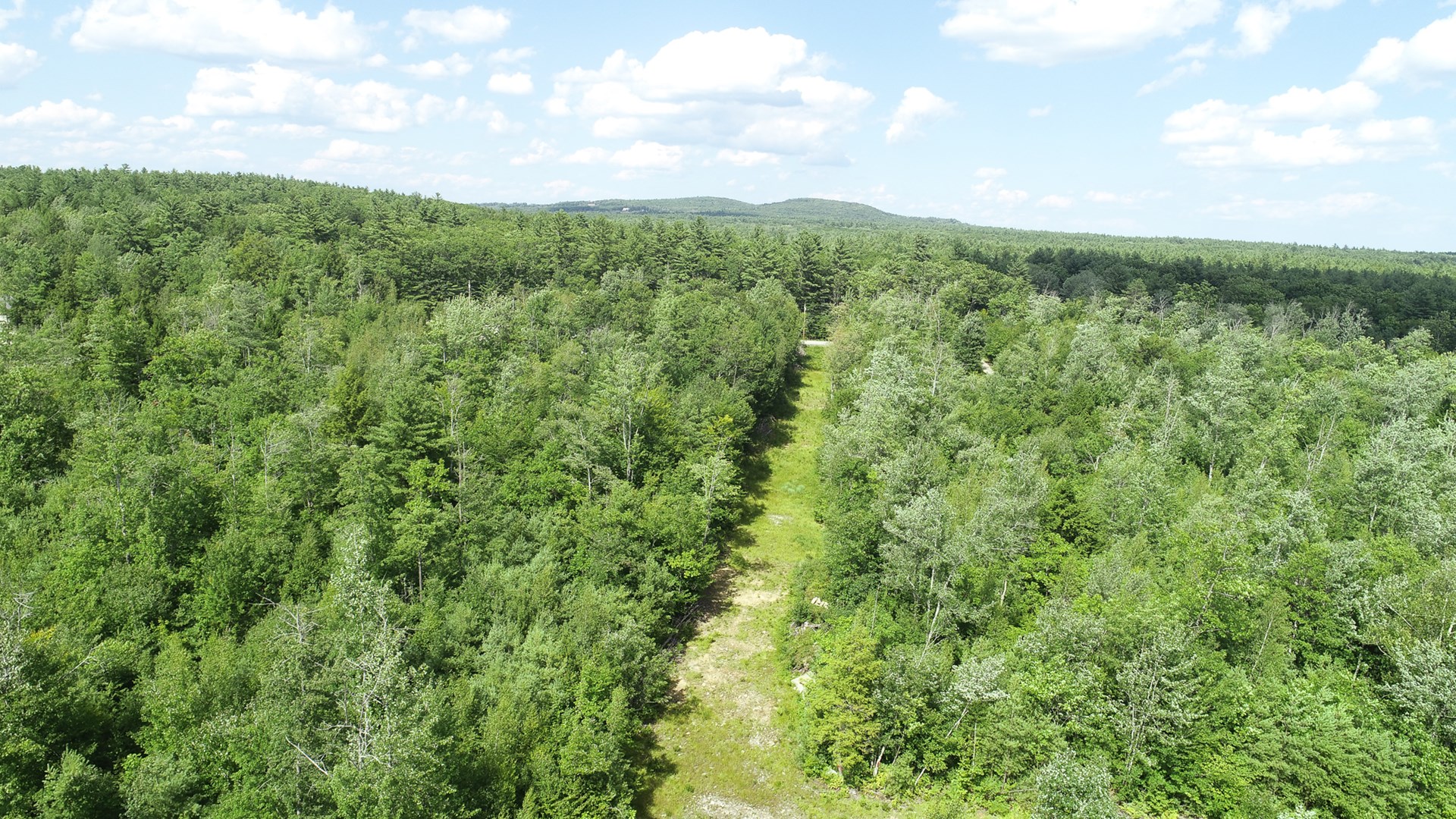 95 acres for sale