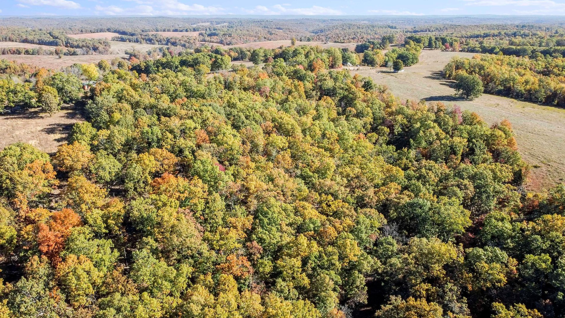 South Central Missouri Ozarks Home For Sale With 34 Acres