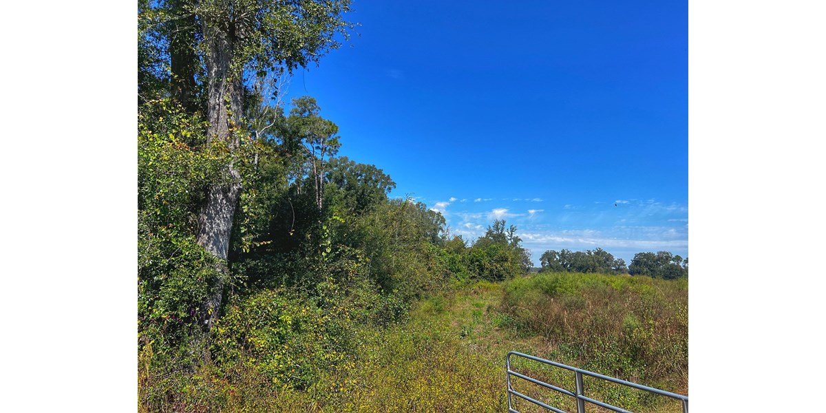 FLORIDA VACANT LAND FOR SALE BRANFORD FLORIDA!