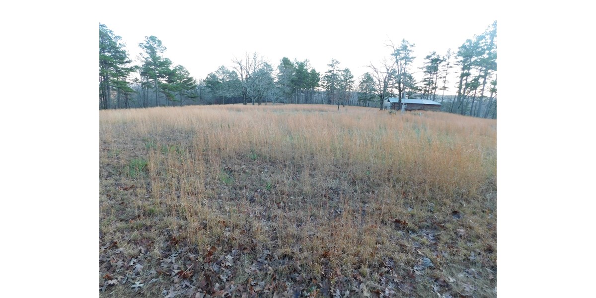 Acreage/Cabin Bordering Ozark National Forest For Sale