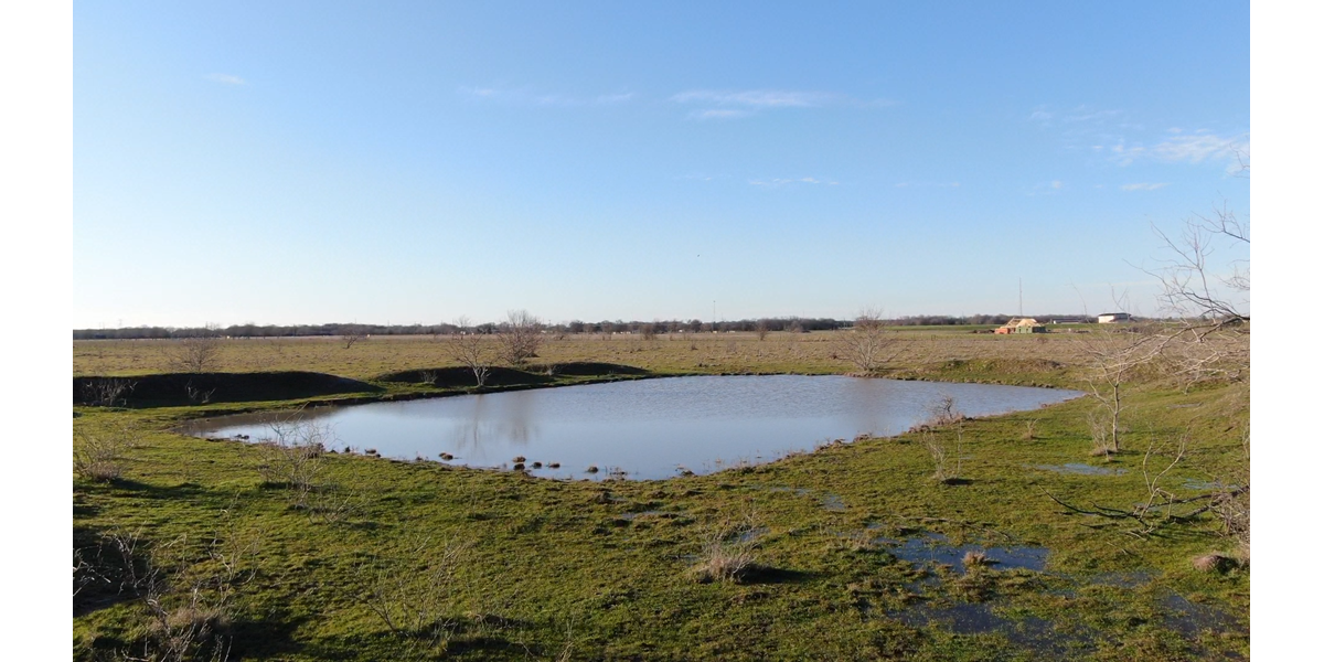 EAST TEXAS LAND FOR SALE