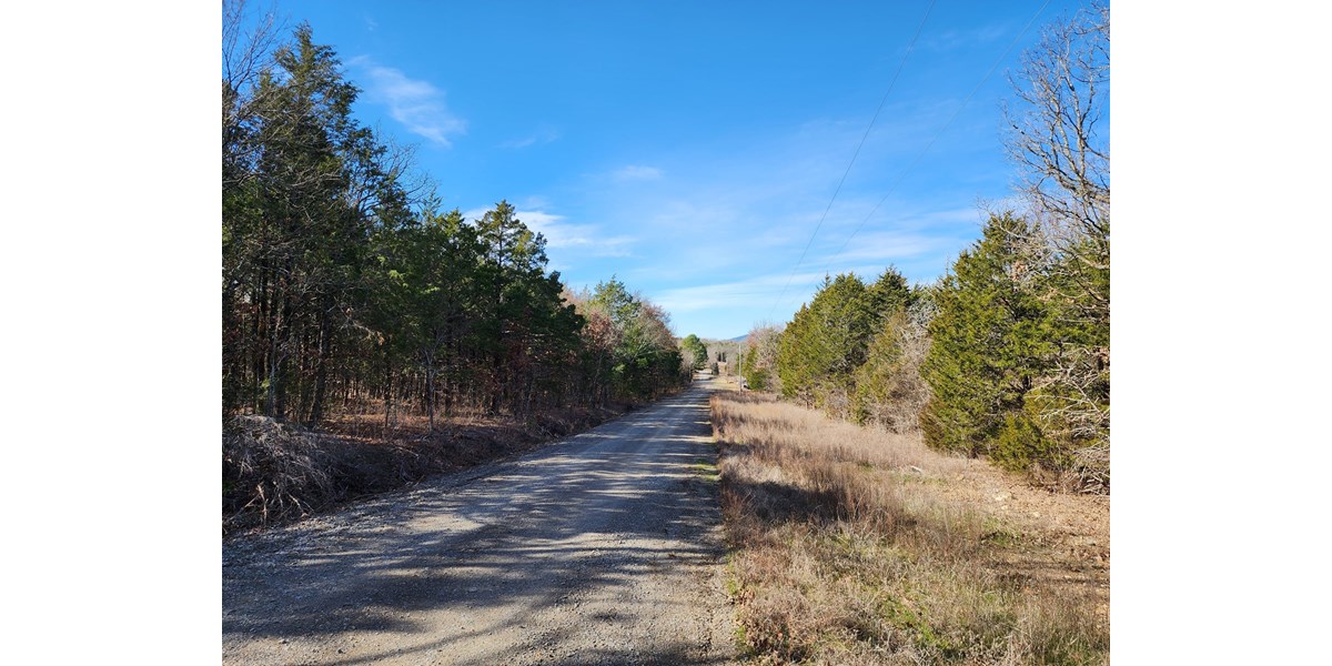 10 Acres For Sale Sardis Lake