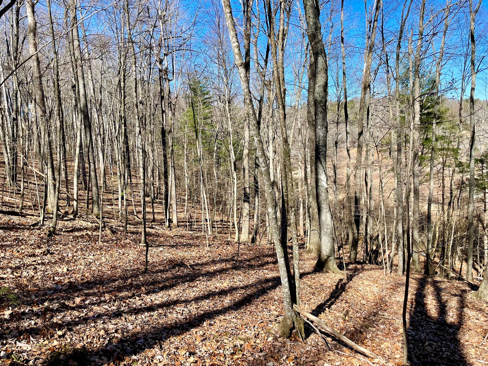 Recreational Land for Sale Near the Blue Ridge Parkway