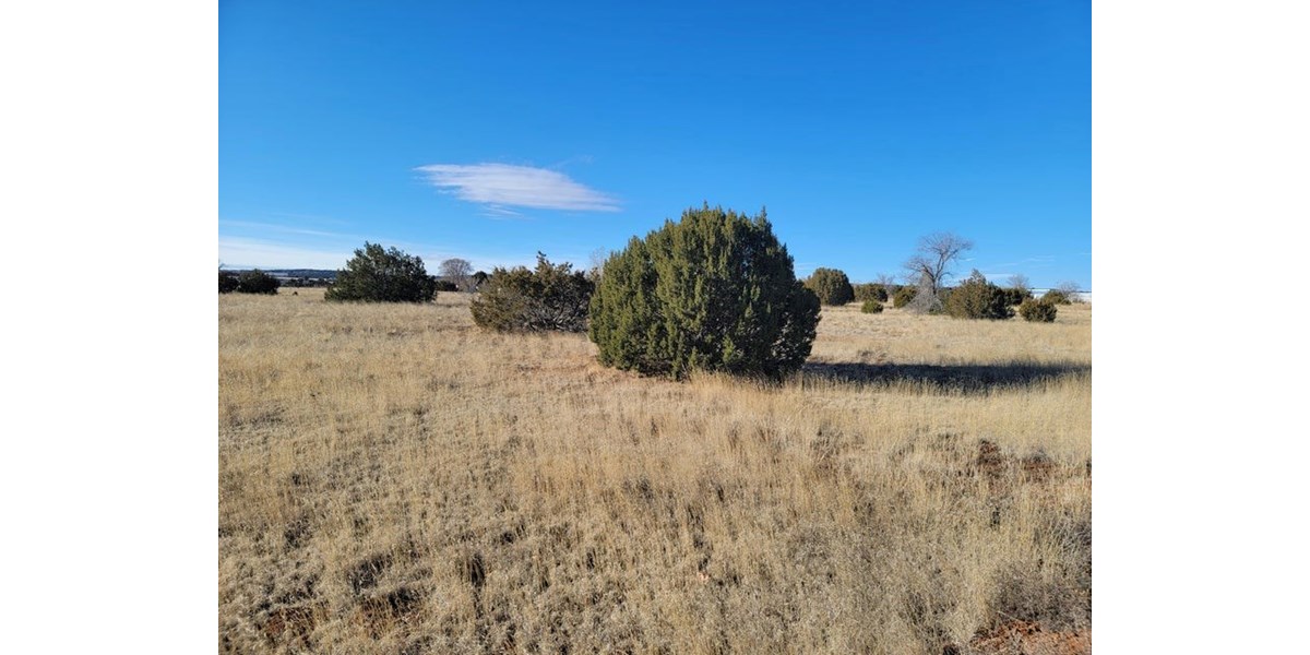 1 ACRE COMMERCIAL LOT IN EDGEWOOD, NM