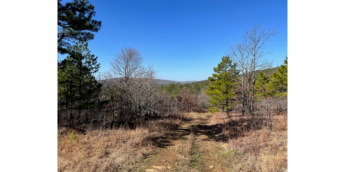 LAND FOR SALE MOUNTAIN VIEWS NEAR SARDIS LAKE YANUSH, OK