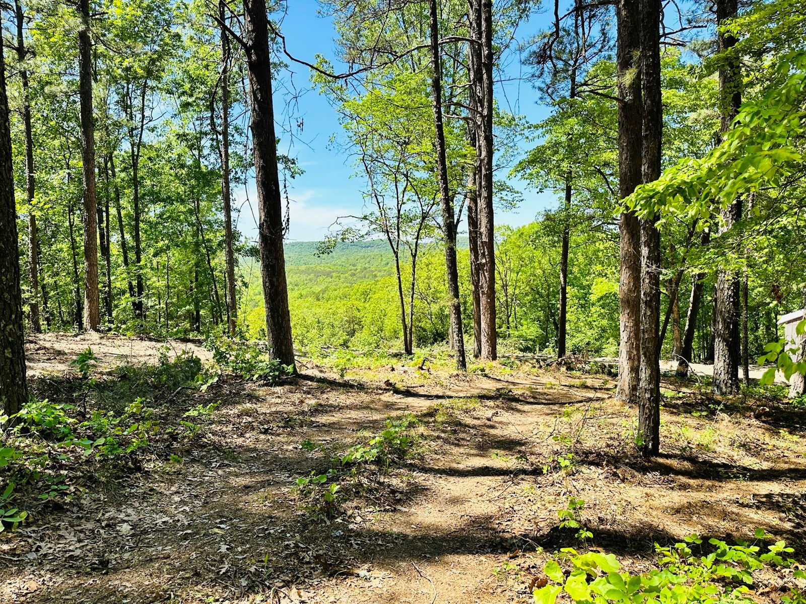 LAND WITH CABIN FOR SALE IN MELBOURNE, ARKANSAS