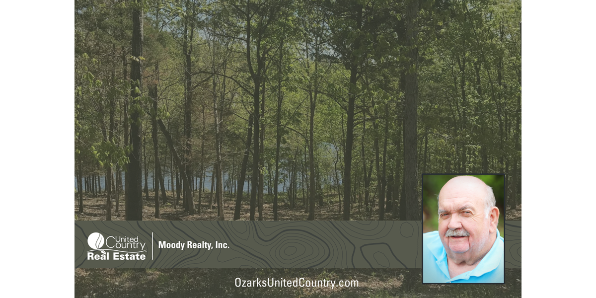 OMAHA LAKE LOT IN CHEROKEE VILLAGE ARKANSAS