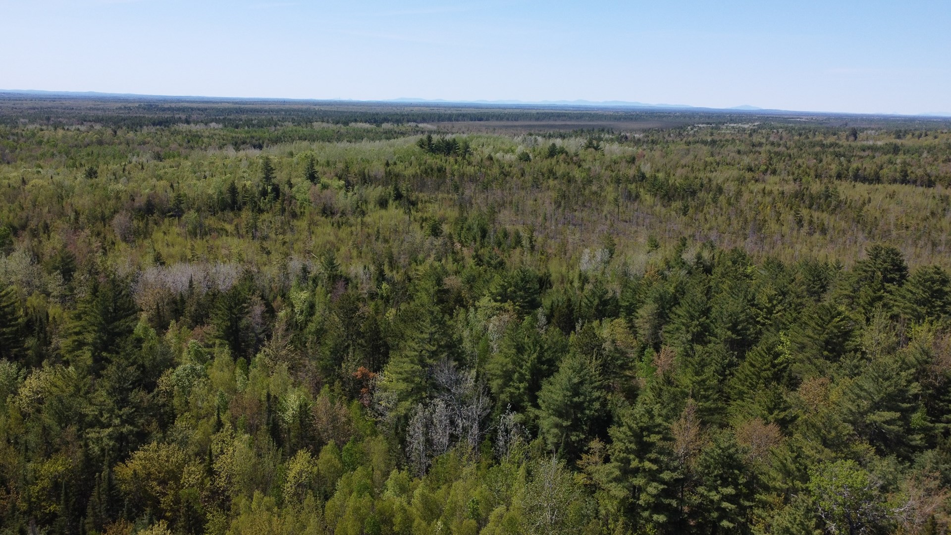 8 acres of private wooded land