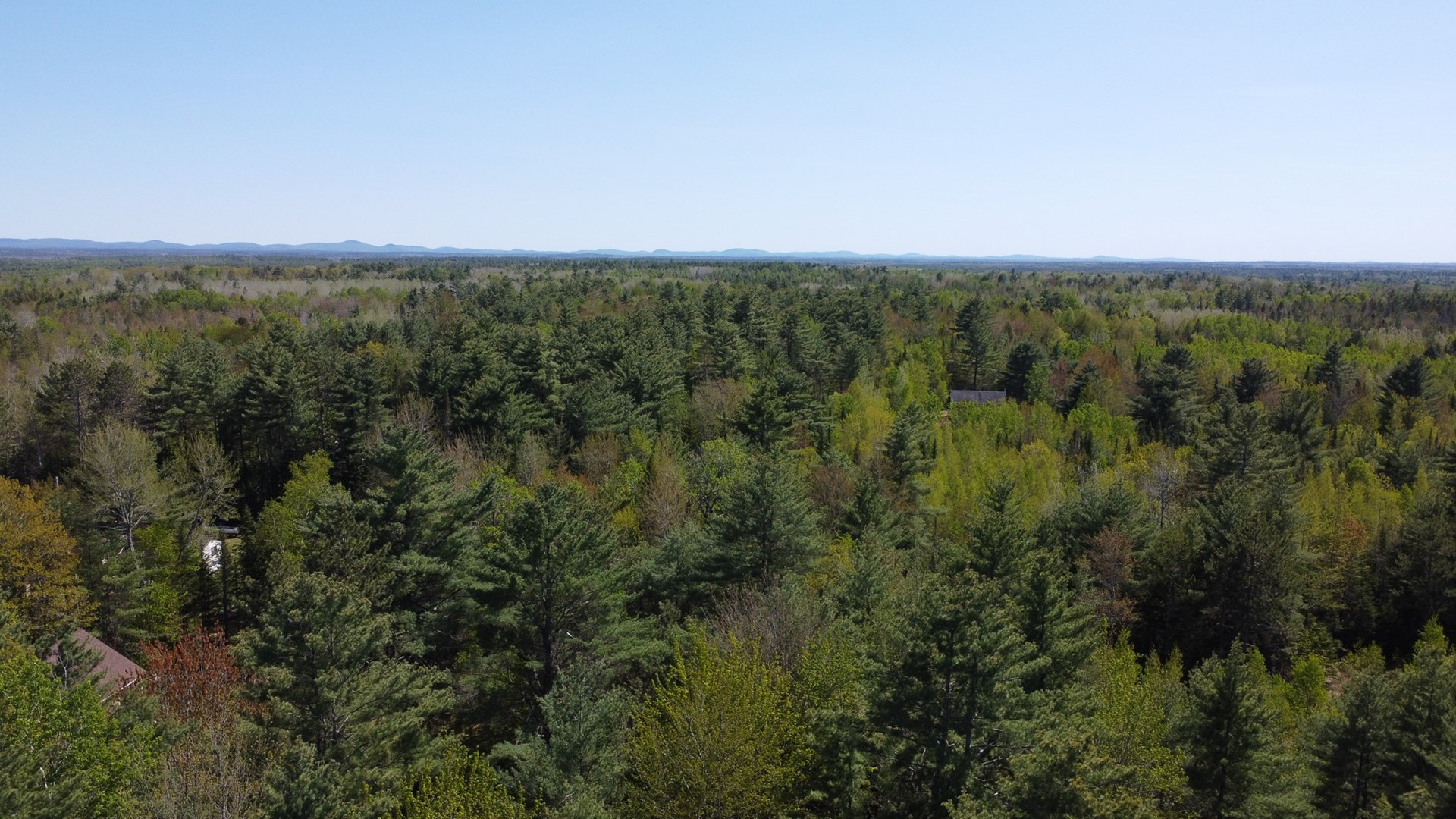 8 acres of private wooded land