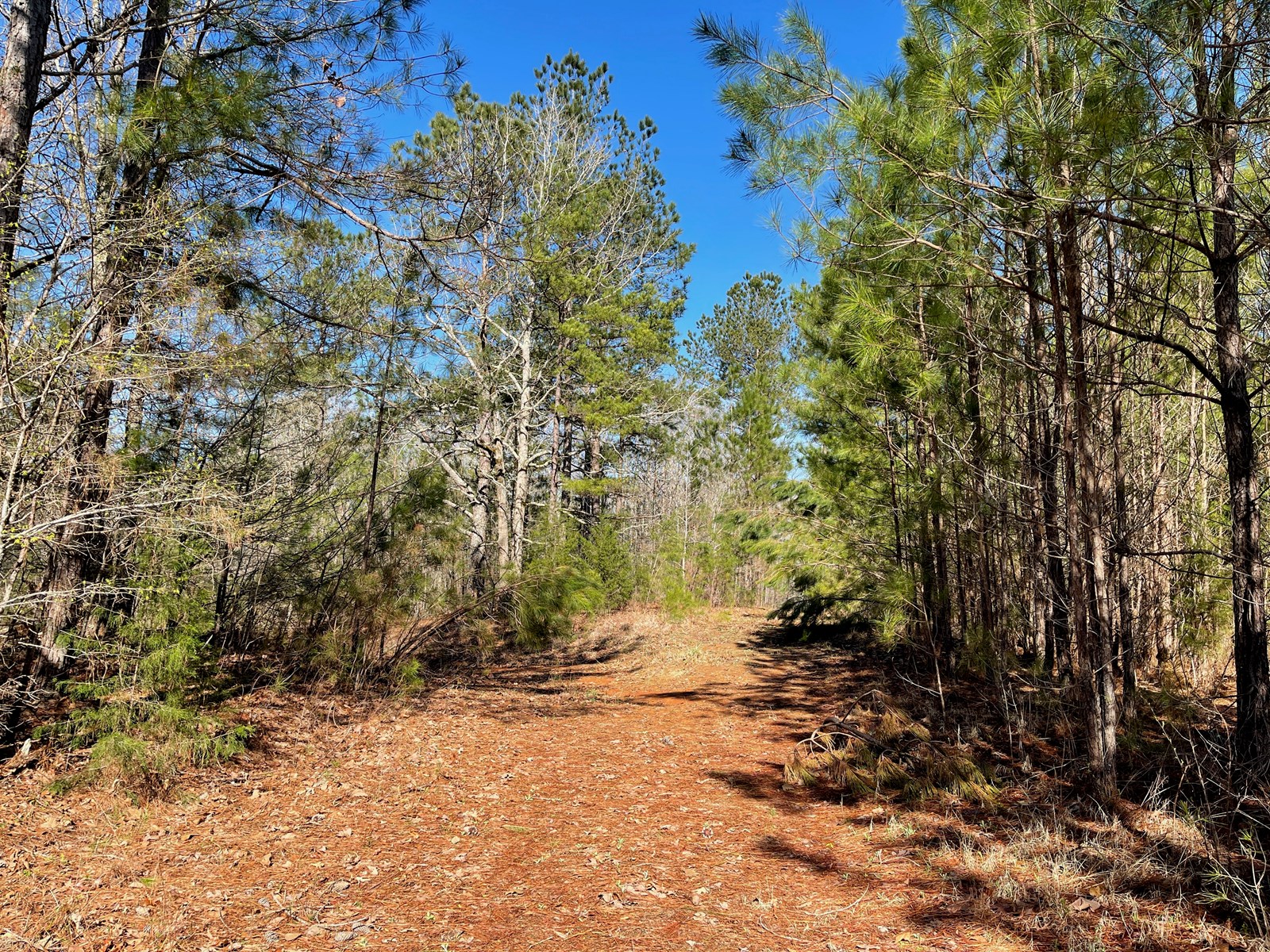 90 Acres Land With Creek For Sale