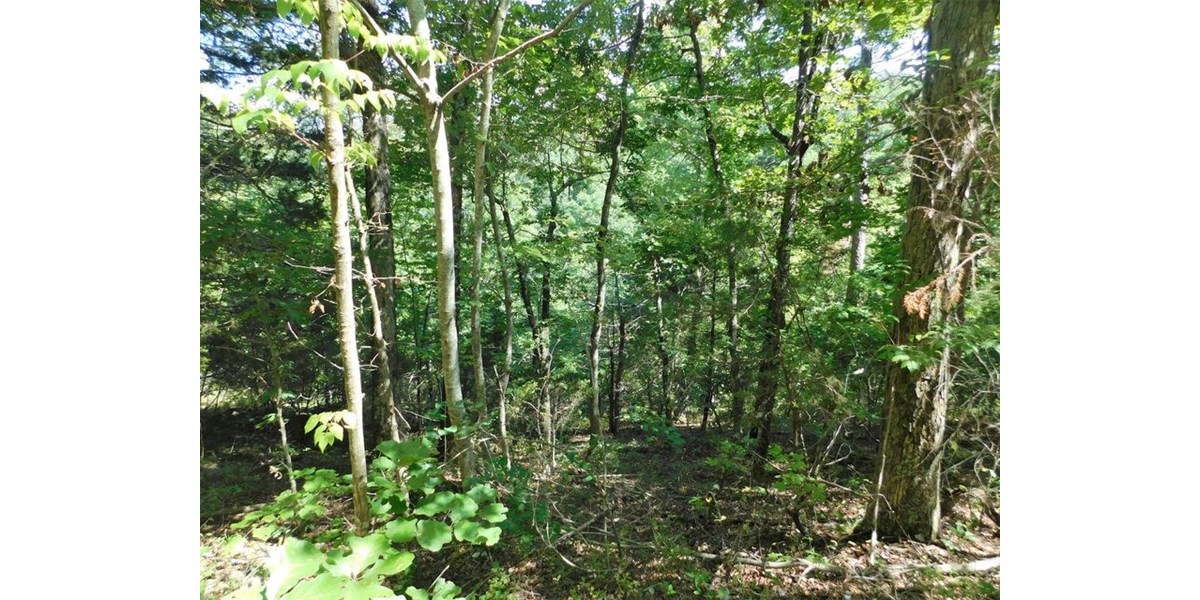 Land For Sale Bordering Ozark National Forest Arkansas