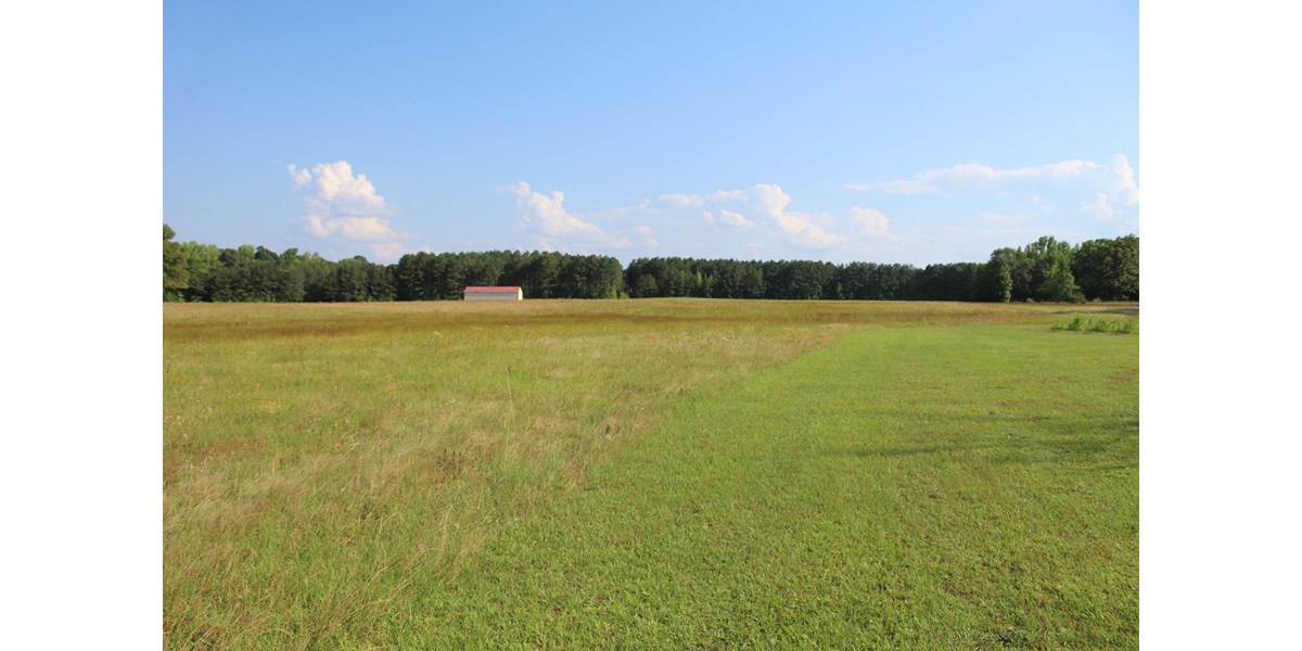 LAND FOR SALE OUACHITA COUNTY LINE!