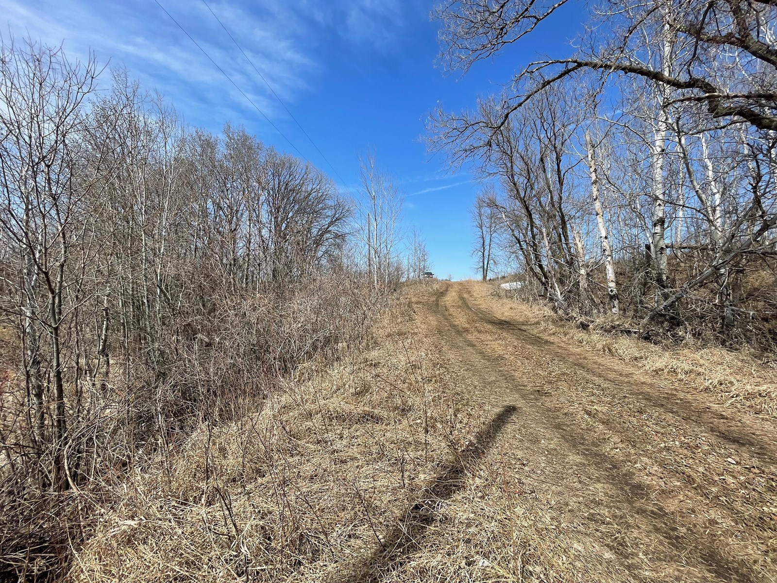 40 Acre Hunting Tract For Sale Ashby Mn In Otter Tail Co.