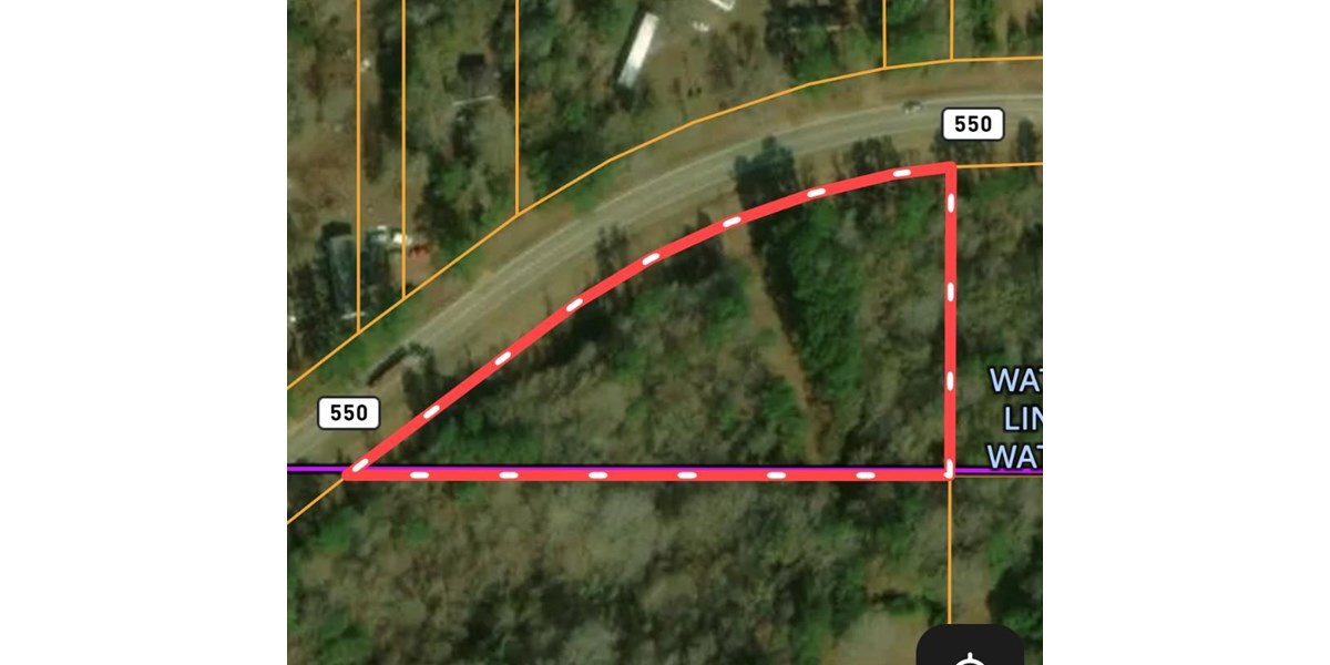 Two Wooded Acres near the Homochitto National Forest MS