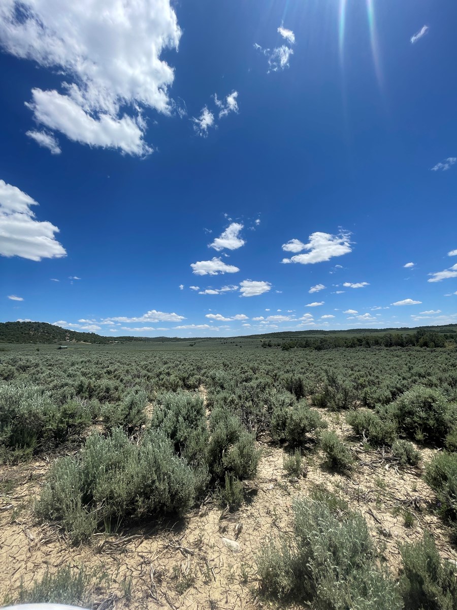 Search All Area Northern New Mexico Real Estate Listings