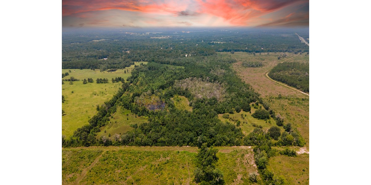 North Florida Acreage For Sale In Columbia County