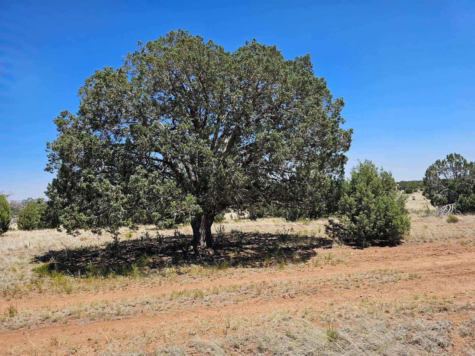 All Area Prescott Arizona Real Estate Listings