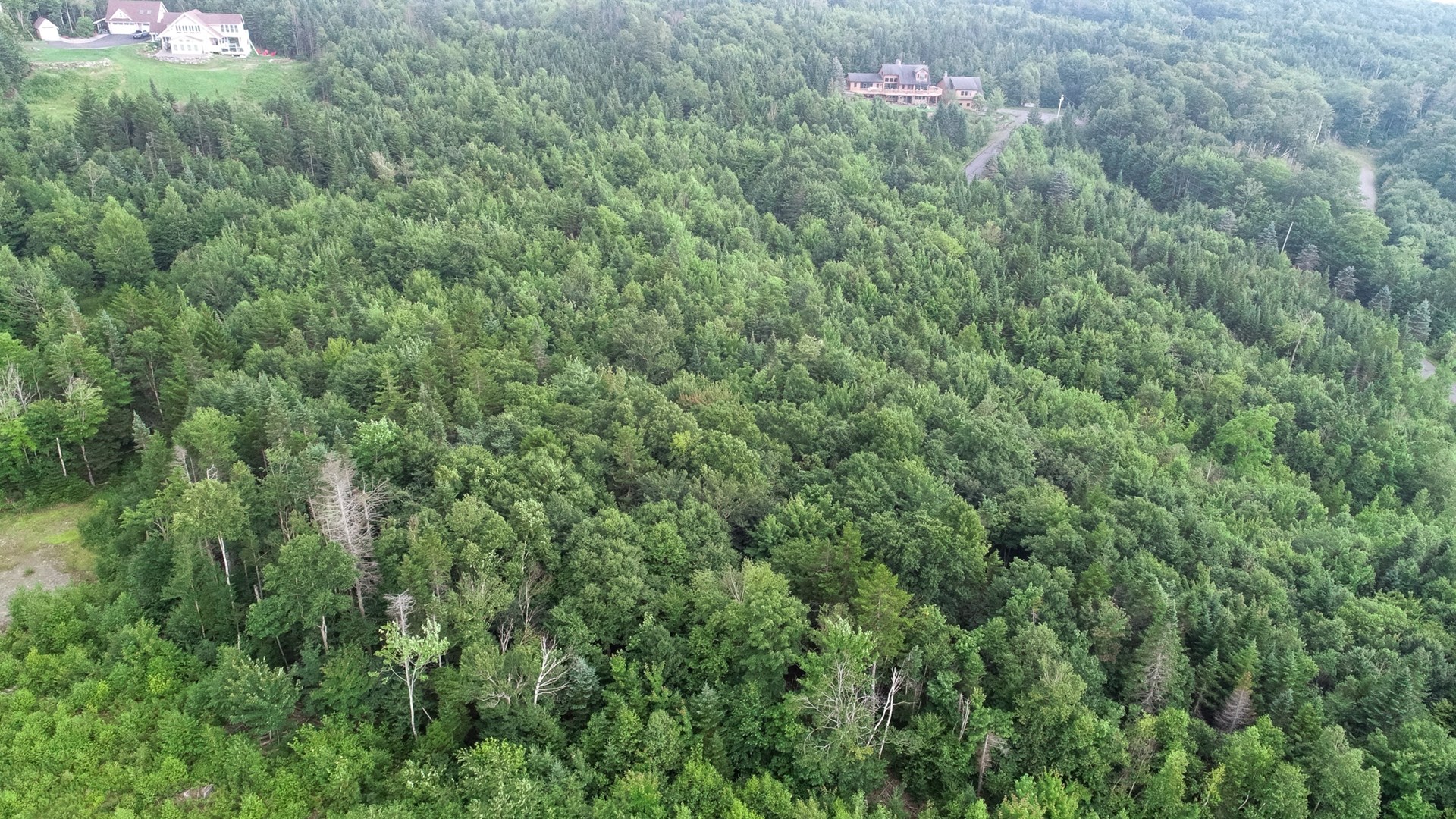 Exclusive Moosehead Lake Region Land for Sale