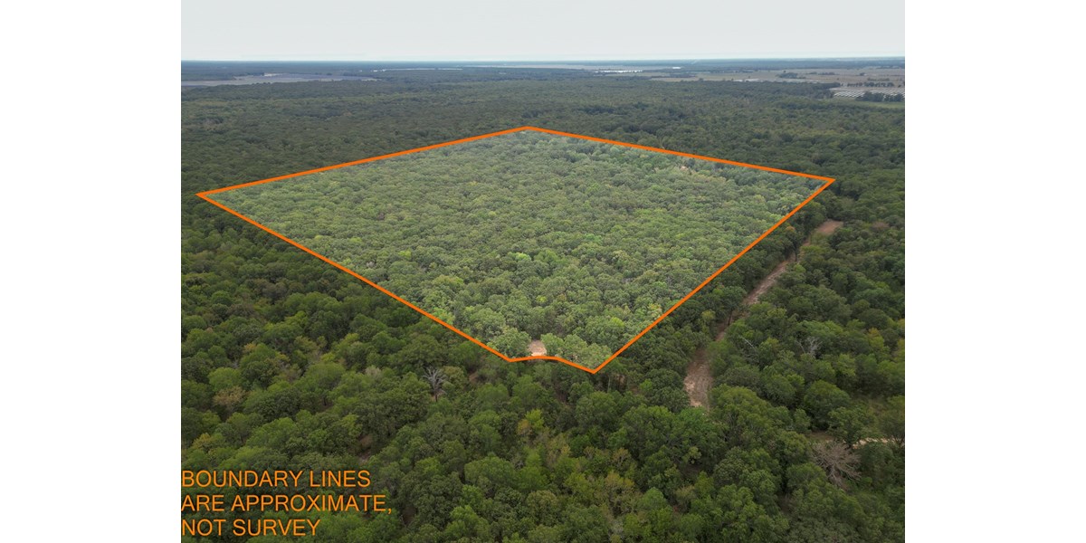 Hunting Land for Sale, Lamar County Texas