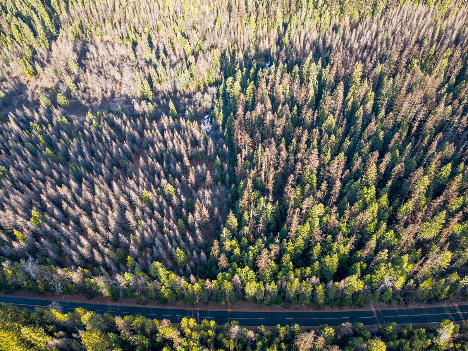 10 acres of privacy near Lake Koocanusa to call your own!