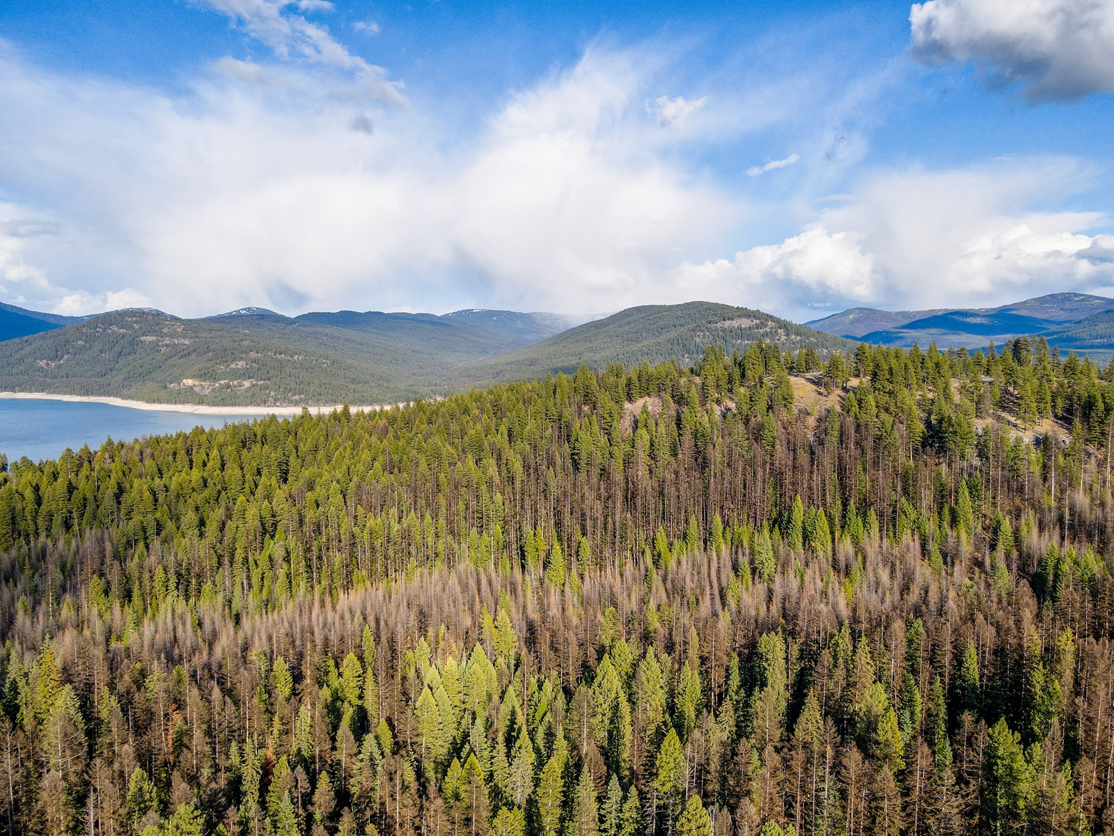 10 acres of privacy near Lake Koocanusa to call your own!