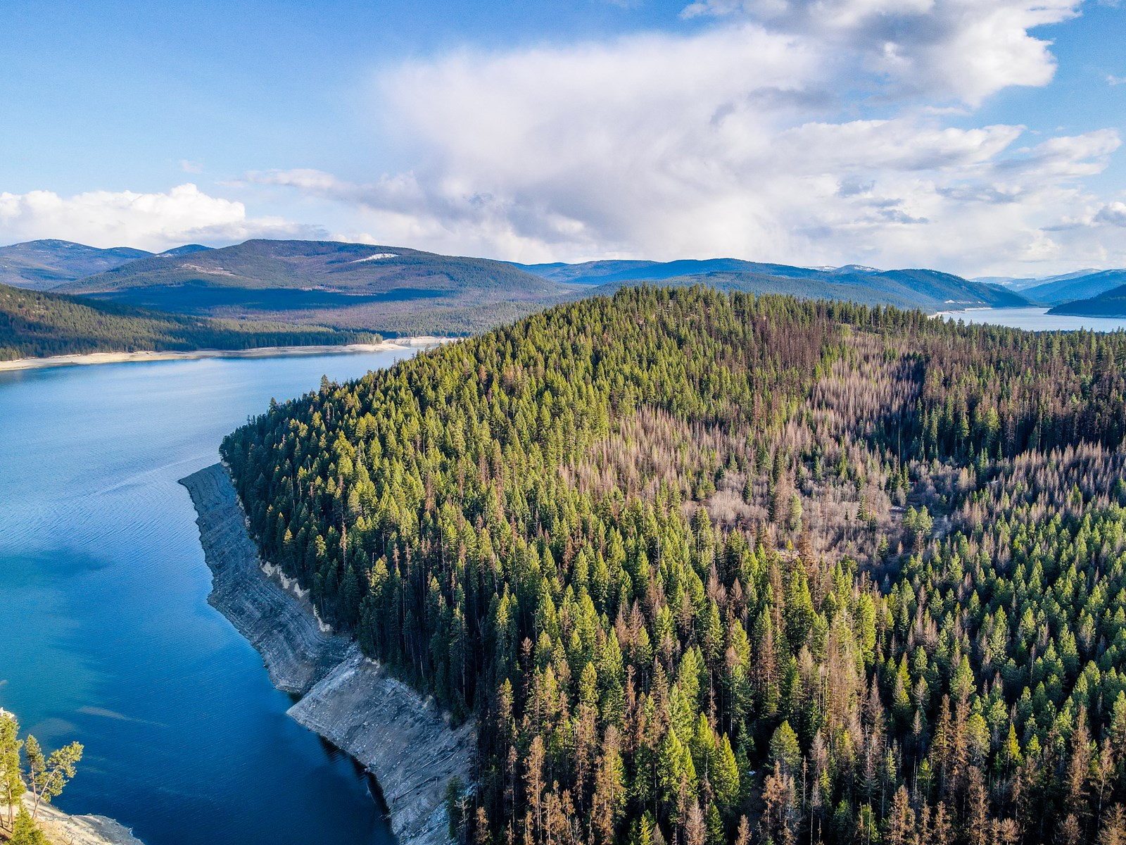 10 acres of privacy near Lake Koocanusa to call your own!