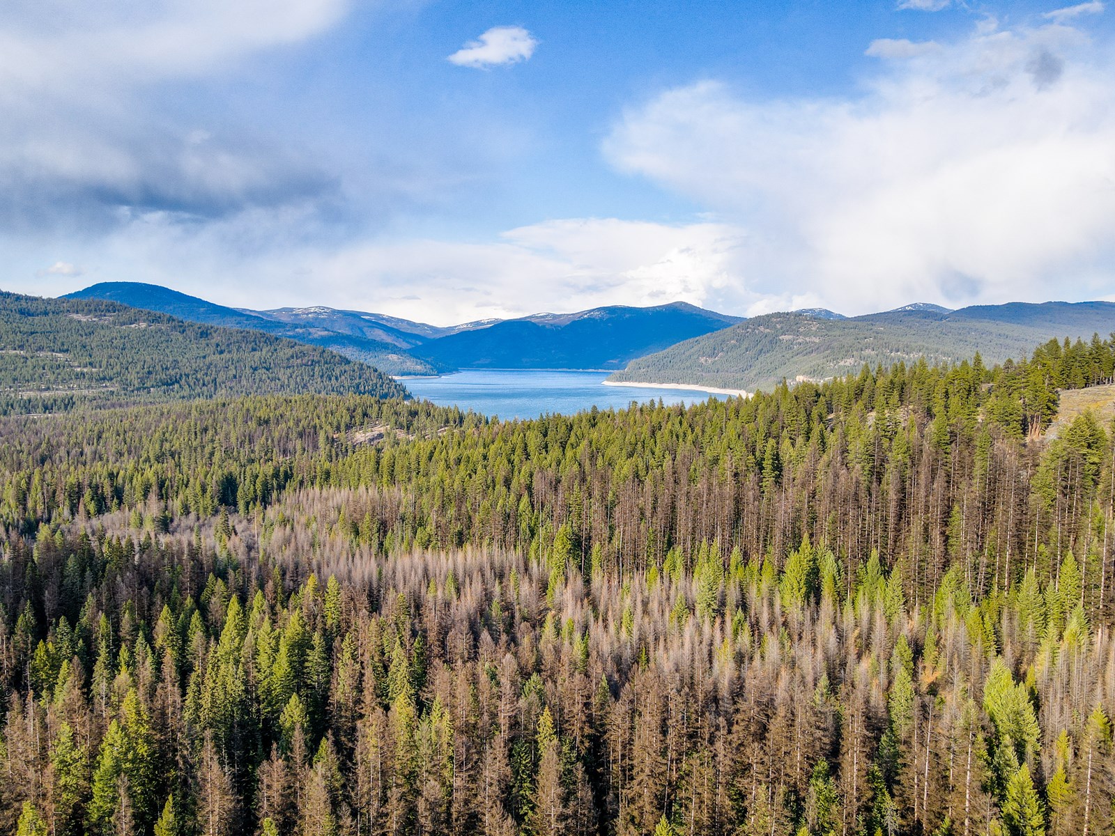 10 acres of privacy near Lake Koocanusa to call your own!