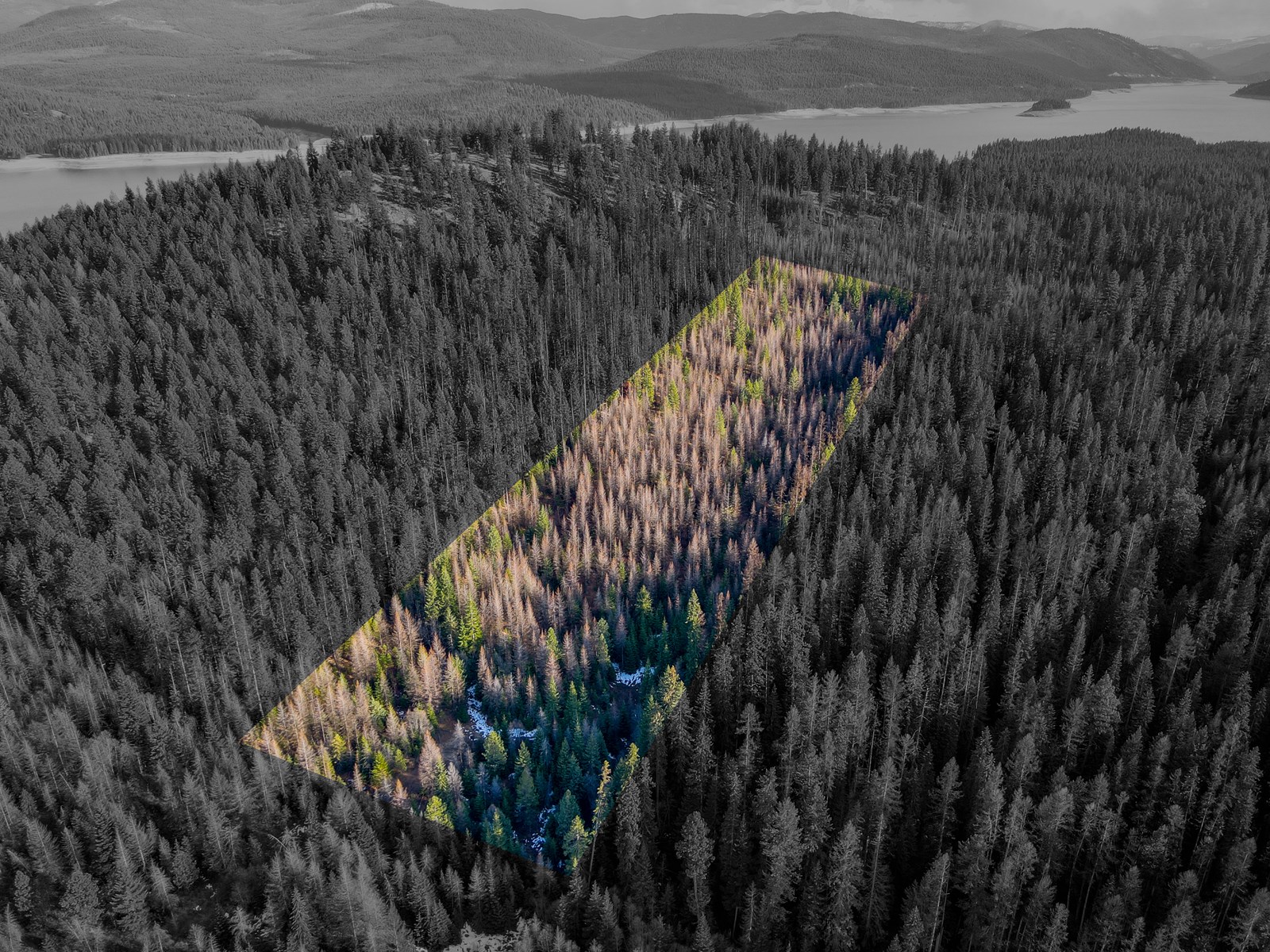 10 acres of privacy near Lake Koocanusa to call your own!