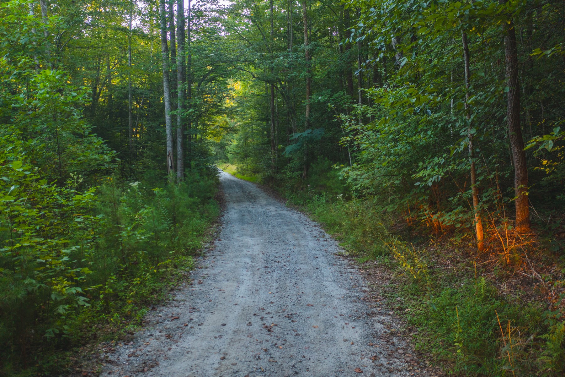 10+/ Acres of Unrestricted Land For Sale in Caldwell County