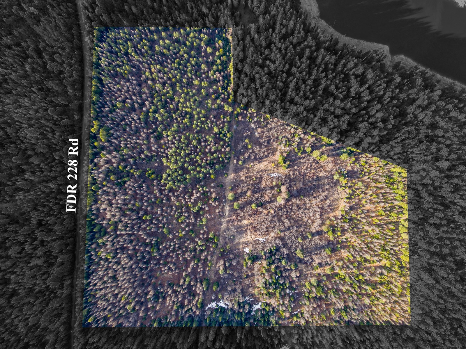 32 acre dream near Lake Koocanusa!!