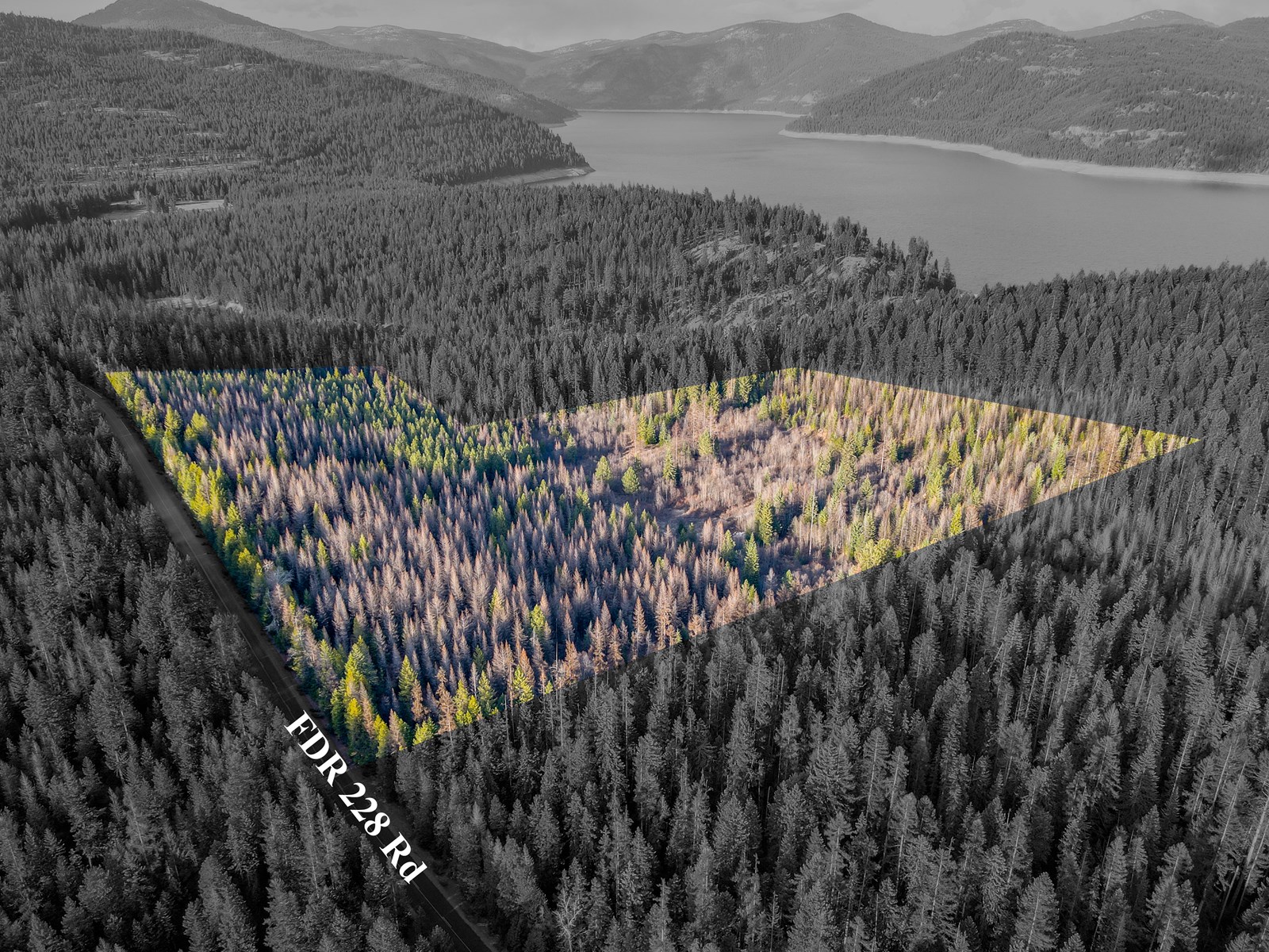 32 acre dream near Lake Koocanusa!!