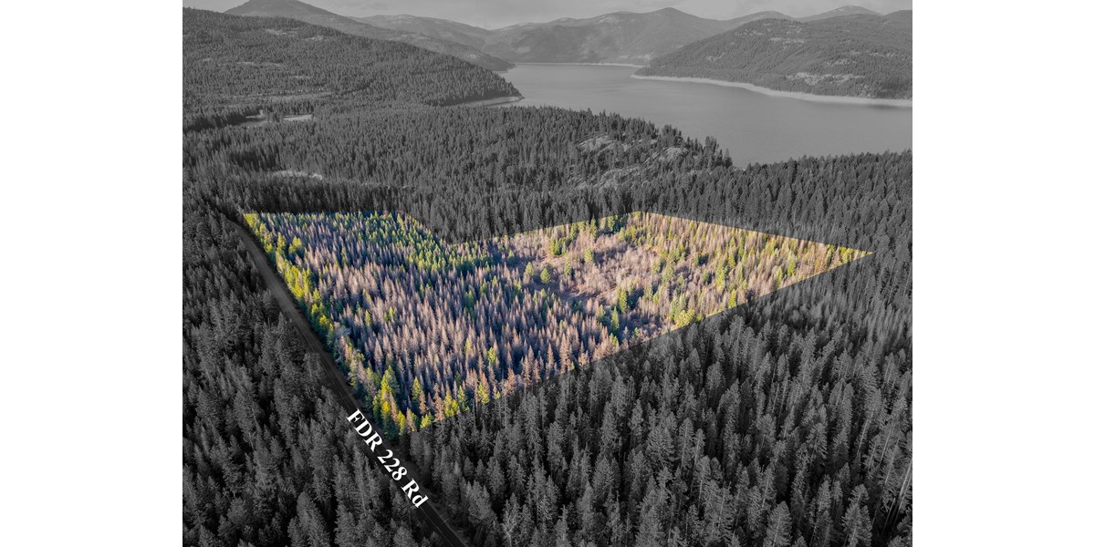 32 acre dream near Lake Koocanusa!!