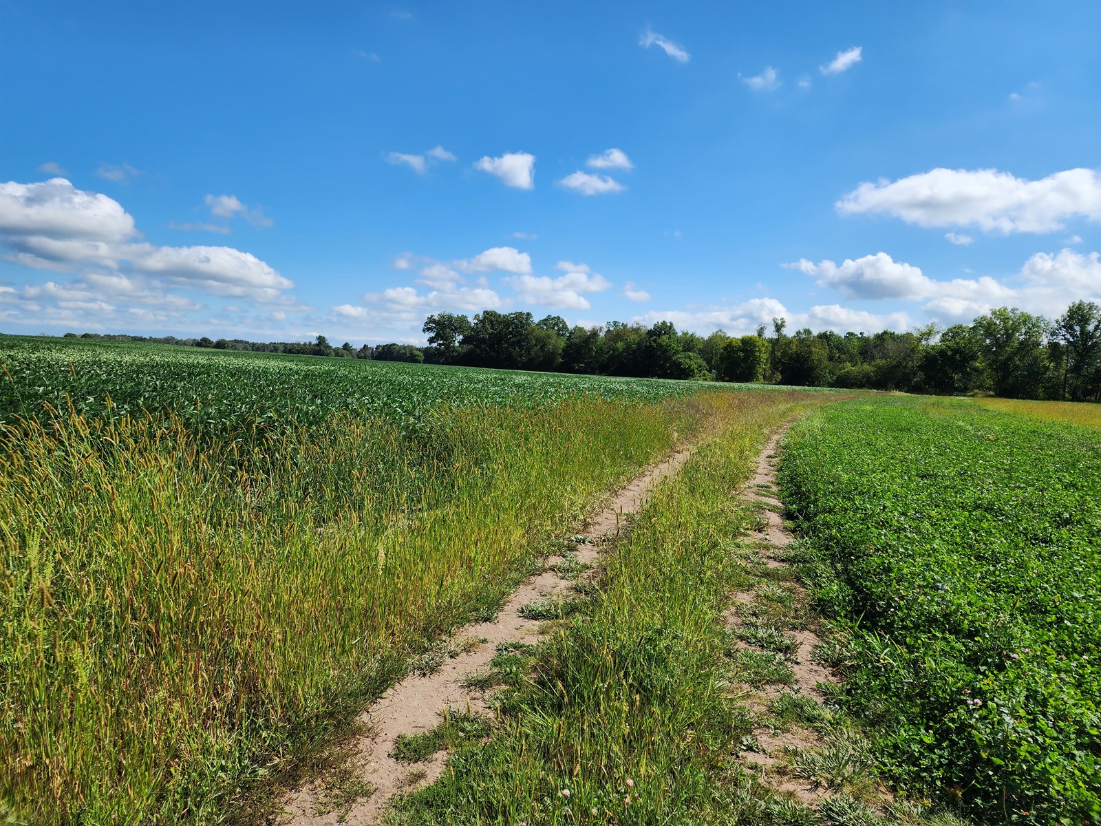 Acreage For Sale In Waupaca Co