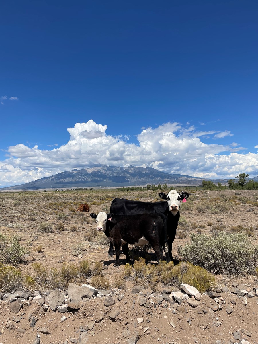 Vacant Land for Sale