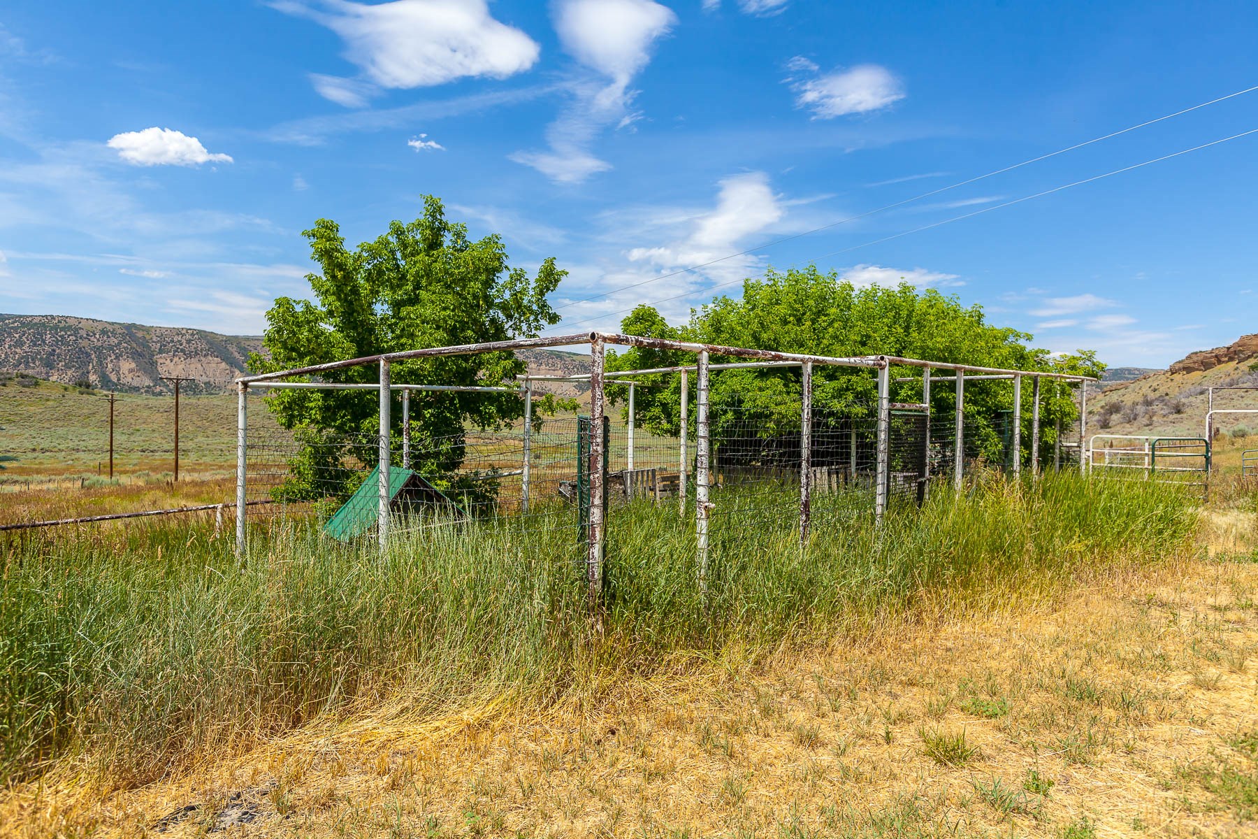 Country Living on 80 Acres in Northwestern Colorado