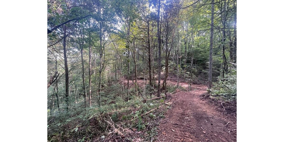 5.6 ACRE LOT FOR SALE NEAR DALE HOLLOW LAKE, BURKESVILLE, KY