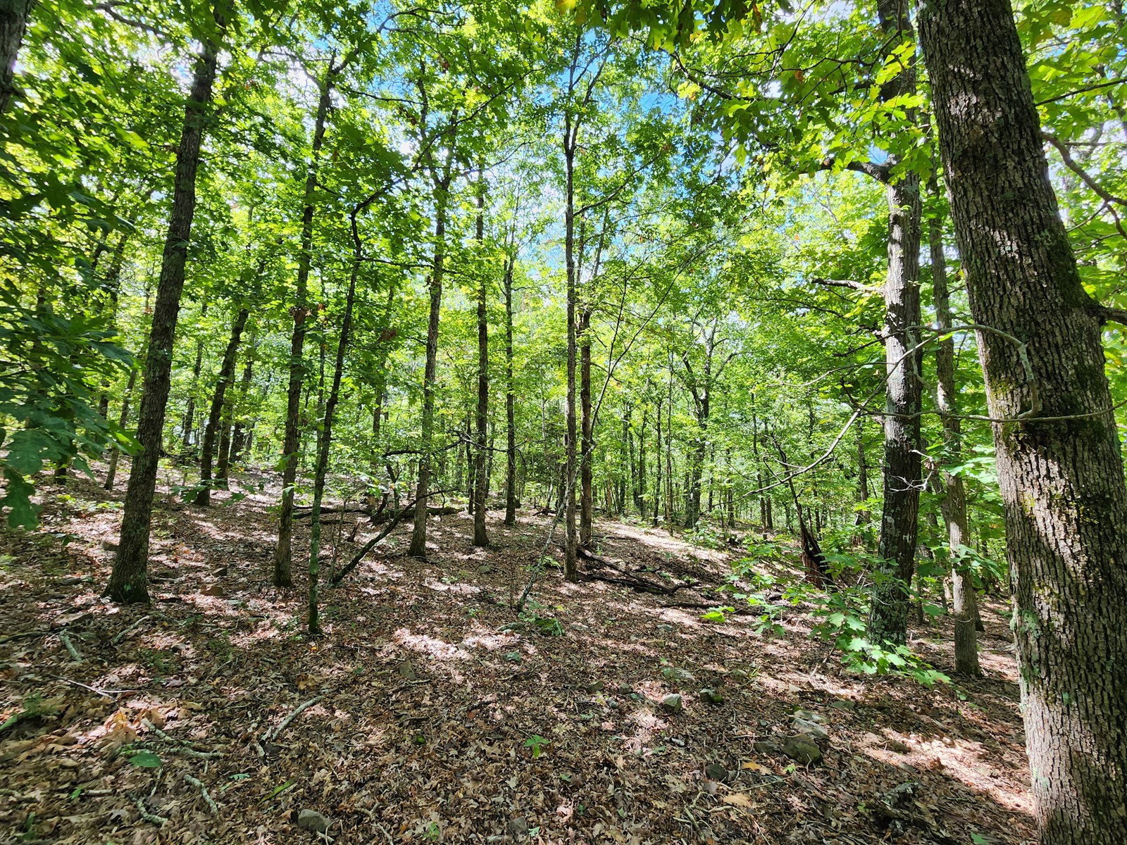 Southeast Oklahoma Land For Sale