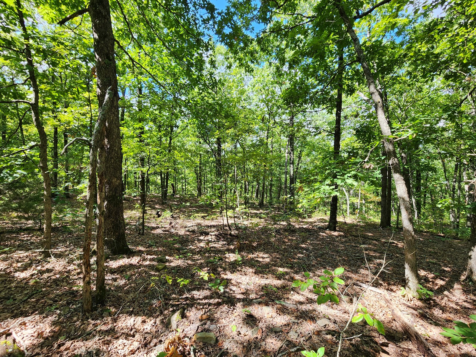 Southeast Oklahoma Land For Sale